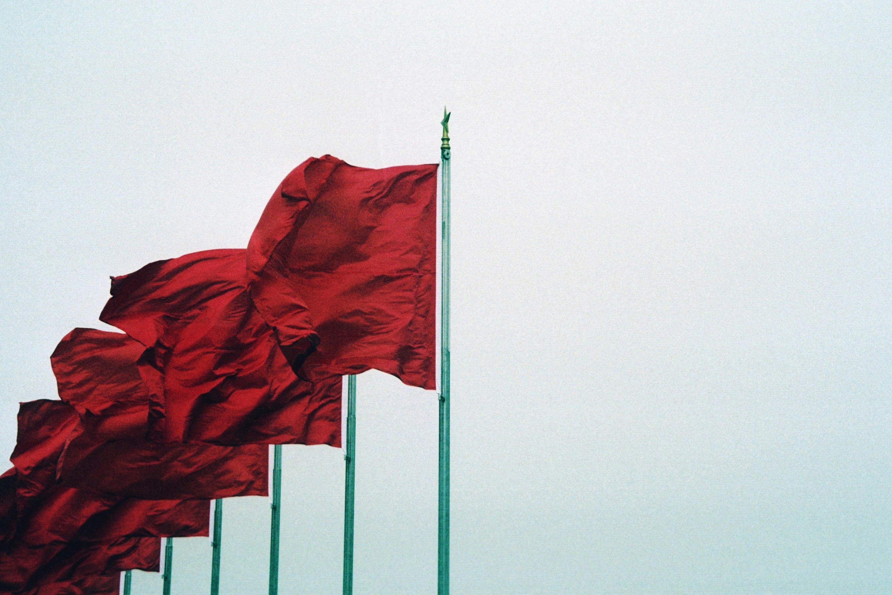 red flags waving - due diligence checklist venture capital